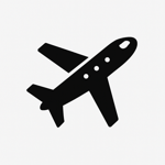 Flights US SERP